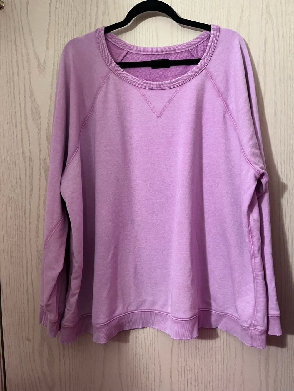 Lane Bryant Lavender Crewneck Sweatshirt